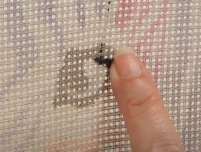 Démarrer et arrêter son fil proprement