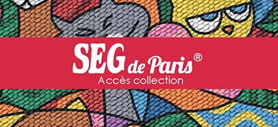 Accès catalogue Canevas SEG de paris